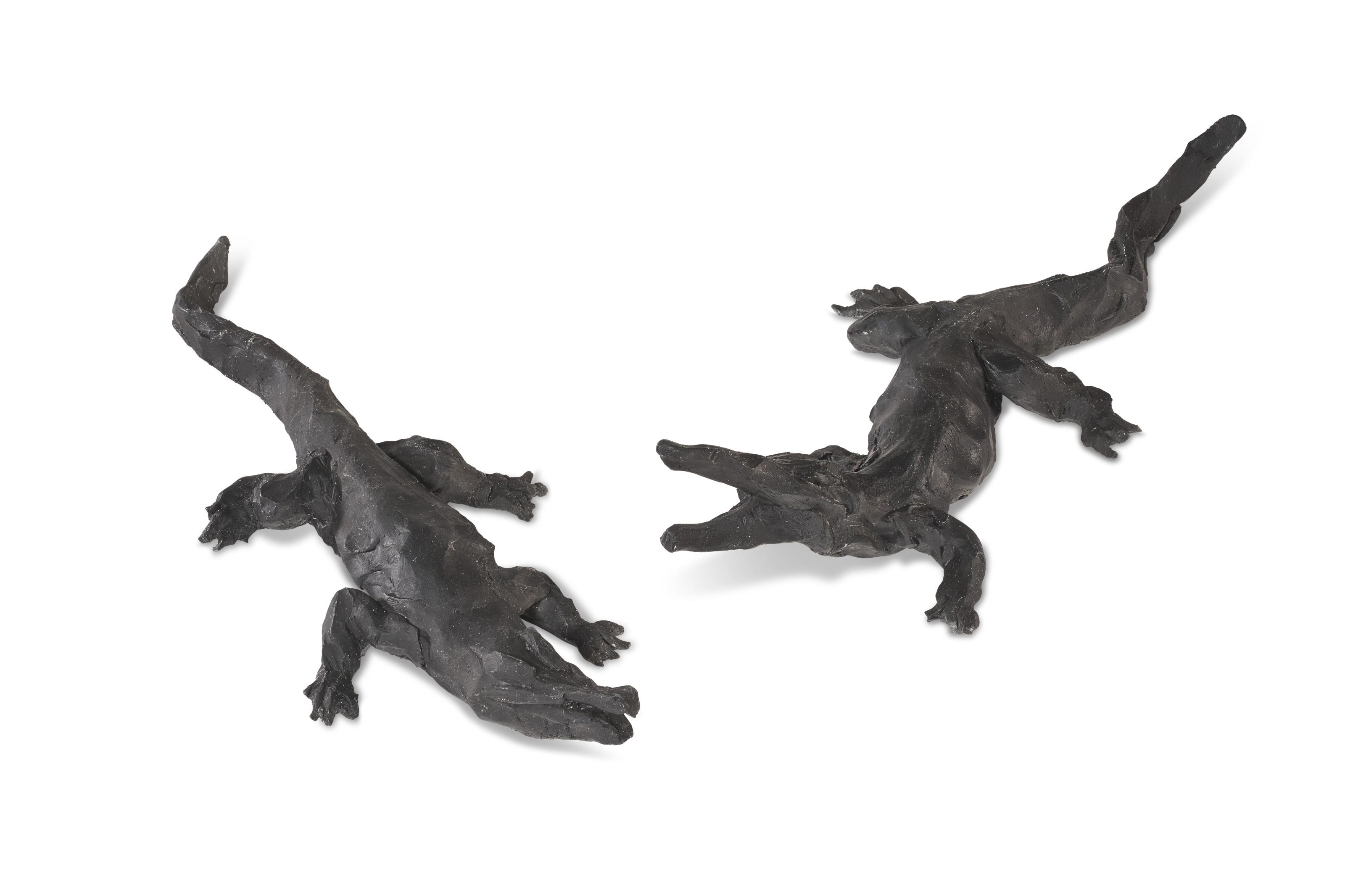 Cai Guo-Qiang - Alligators (Two Works)