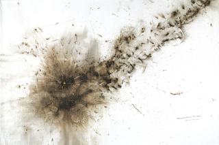 Cai Guo-Qiang - Drawing for Fireworks from Heaven