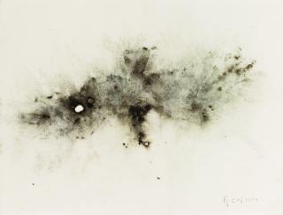 Cai Guo-Qiang - Eagle