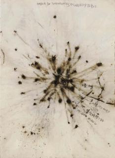 Cai Guo-Qiang - Fetus Movement II - Projects for Extraterrestrials No. 9