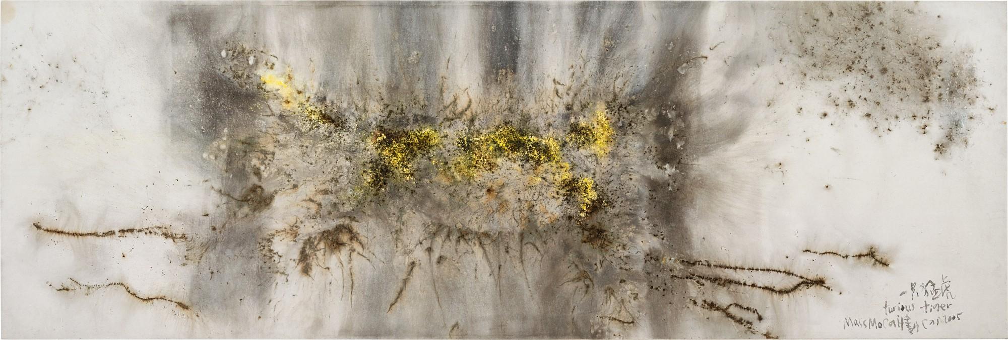 Cai Guo-Qiang - Furious Tiger