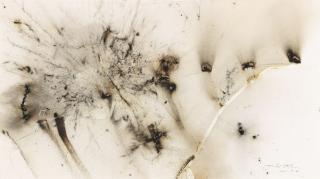 Cai Guo-Qiang - Hot Coal