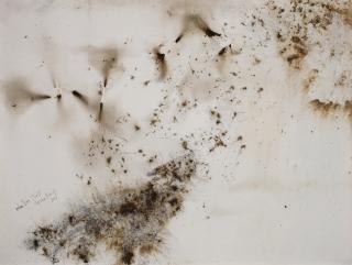 Cai Guo-Qiang - Howling Wolf