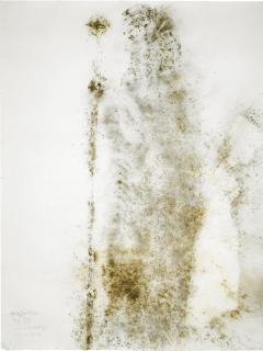 Cai Guo-Qiang - Life Beneath The Shadow: Major Weir