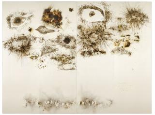 Cai Guo-Qiang - Man, Eagle and Eye in the Sky: Eye-Kite Flying People