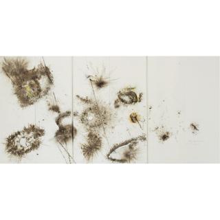 Cai Guo-Qiang - Man, Eagle And Eye In The Sky: Eyes (Six Panels)