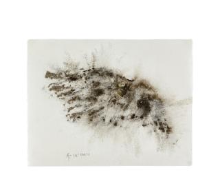 Cai Guo-Qiang - Man, Eagle And Eye In The Sky (From The Siwa Series)