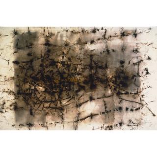 Cai Guo-Qiang - Money Net No. 2 (Project For Royal Academy Of Art, London)