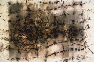 Cai Guo-Qiang - Money Net No. 3 - Project For Royal Academy Of Art, London (Diptych)