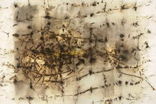 Cai Guo-Qiang - Money Net No. 3  Project for Royal Academy of Art, London