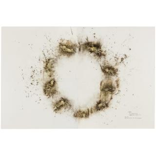 Cai Guo-Qiang - Nine Cars