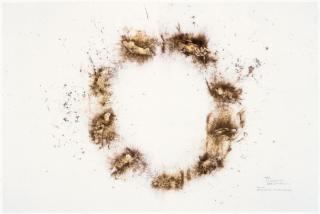 Cai Guo-Qiang - Nine Cars