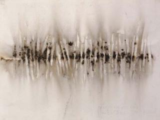 Cai Guo-Qiang - Project For E.T. No 5