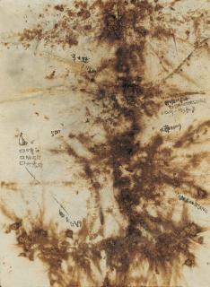 Cai Guo Qiang - Project for Extraterrestrial No. 9: Fetus Movement II