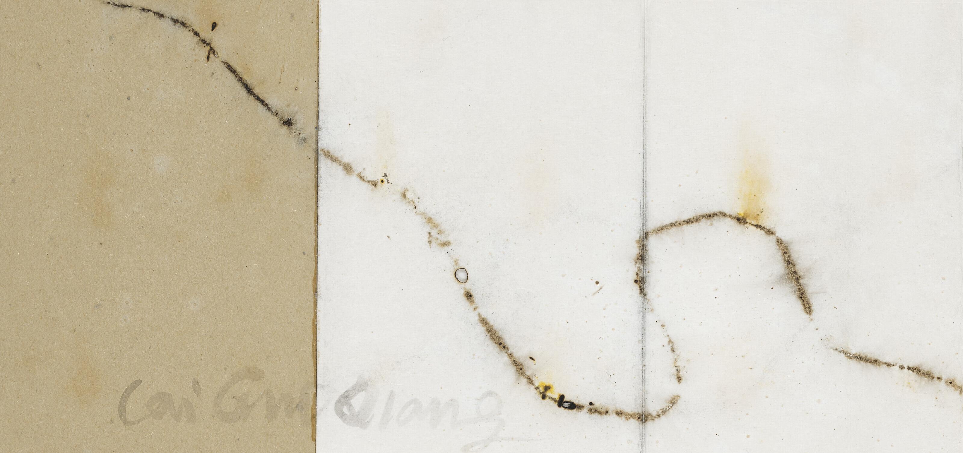 Cai Guo-Qiang - Project for Extraterrestrials No. 10