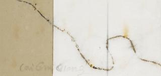 Cai Guo-Qiang - Project for Extraterrestrials No. 10