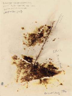 Cai Guo-Qiang - Project for Extraterrestrials No. 21 Myth-Shooting the Suns