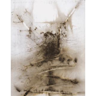 Cai Guo-Qiang - Project For Extraterrestrials No. 5-8: Fetus Movement