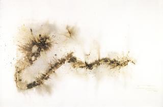 Cai Guo-Qiang - Project for the Year of Dragon No. 2