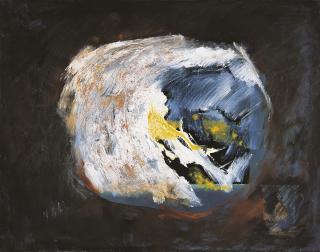 Cai Guo-Qiang - Protein