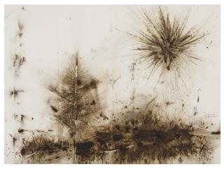 Cai Guo-Qiang - Small Pine Tree