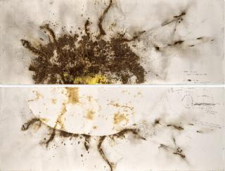 Cai Guo-Qiang - Sundial