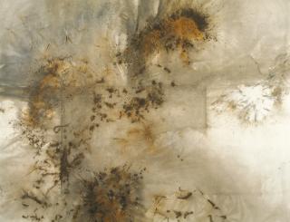 Cai Guo-Qiang - Tiger And Eagle