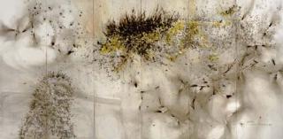 Cai Guo-Qiang - Two Lions