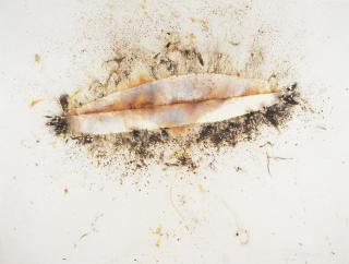 Cai Guo-Qiang - UFO and Shrine in the Sky