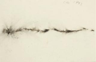 Cai Guo Qiang - Untitled