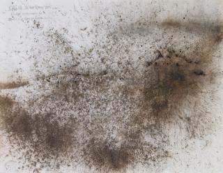 Cai Guo-Qiang - Wolves Of The Dark Night: Drawing Experiment For Deutsche Guggenheim