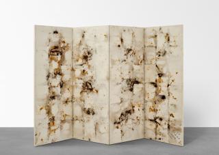 Cai Guoqiang - Art Shopping Network