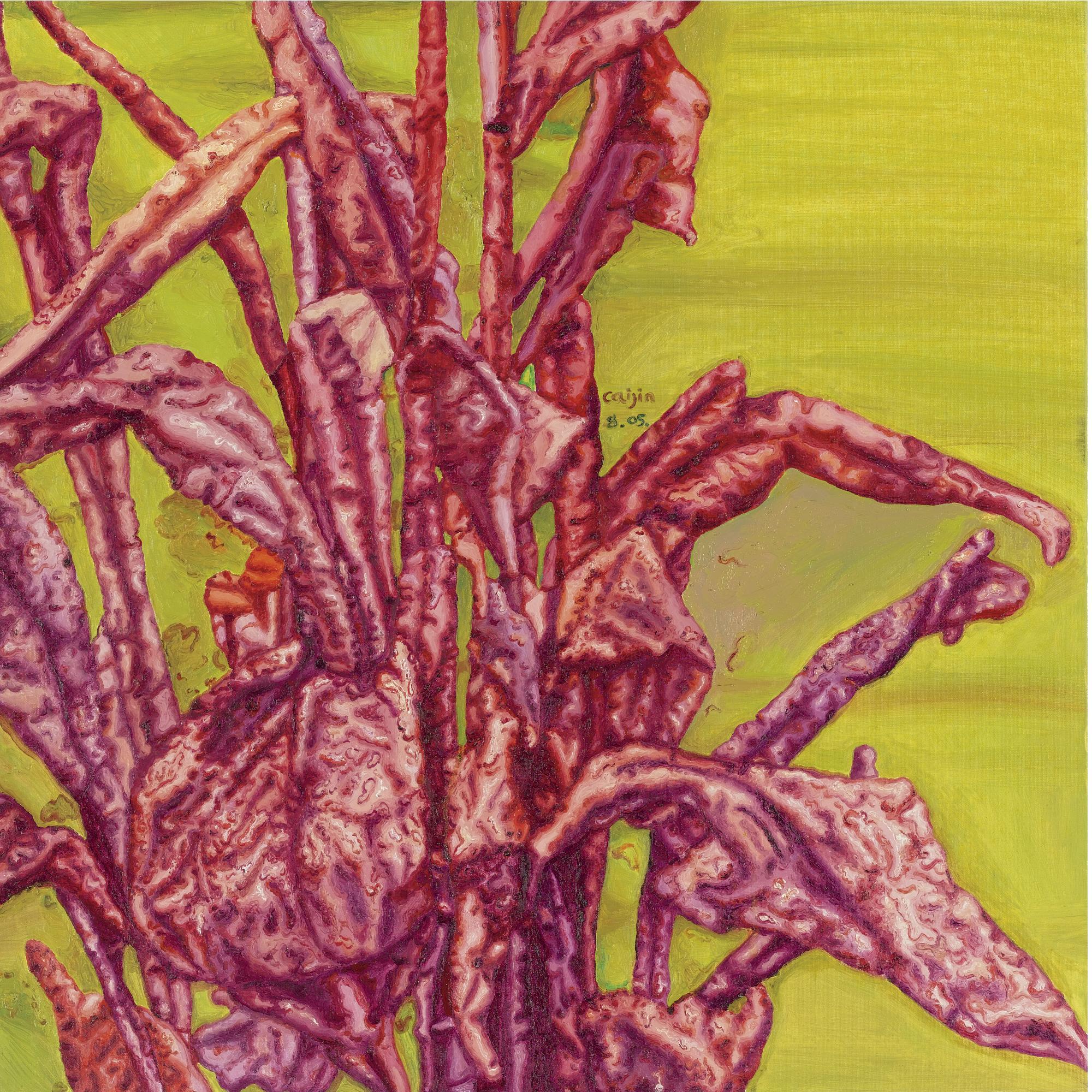 Cai Jin - Banana 244