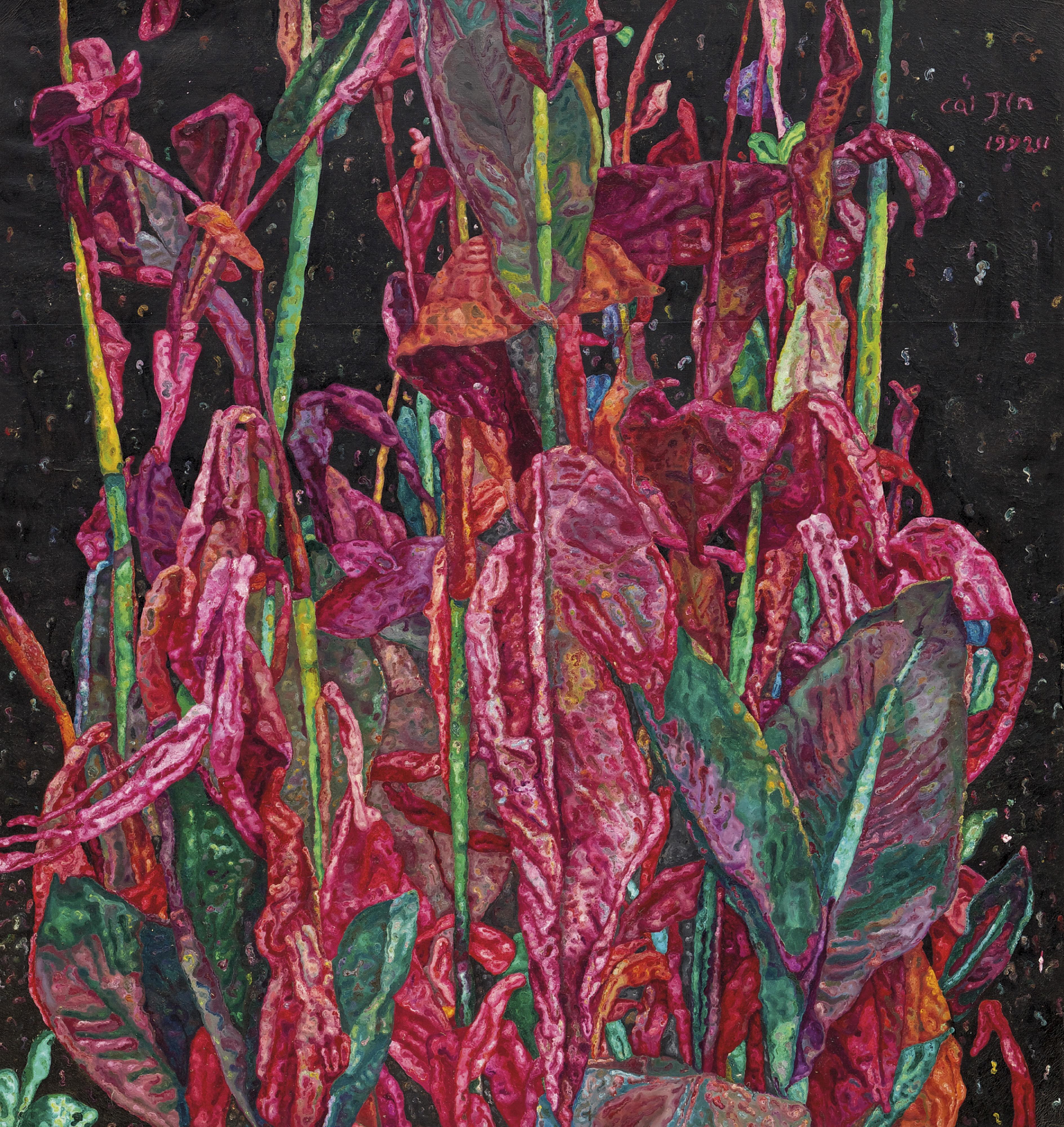 Cai Jin - Banana Plant No. 15