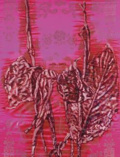 Cai Jin - Banana Plant No.261