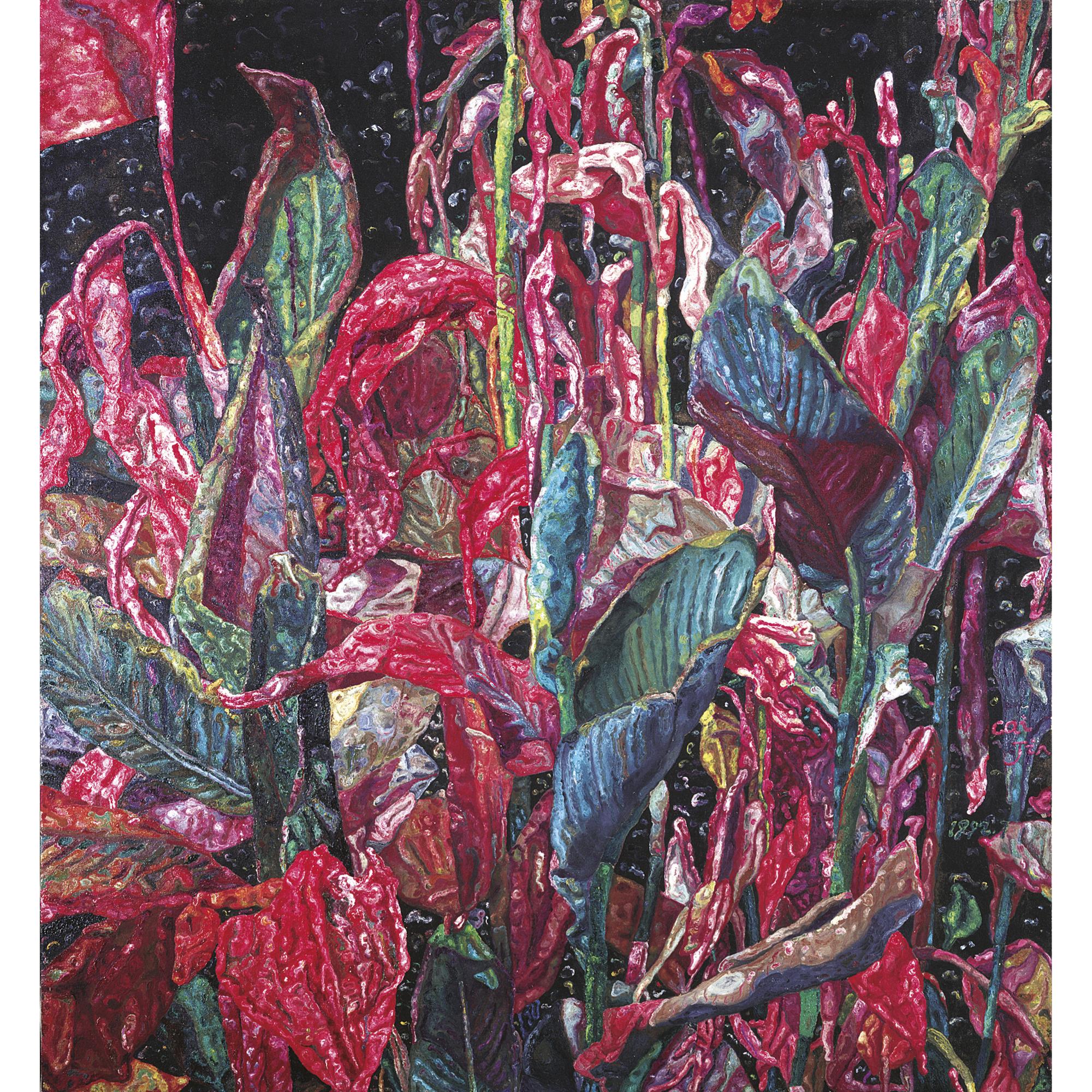 Cai Jin - Banana Plant No. 8