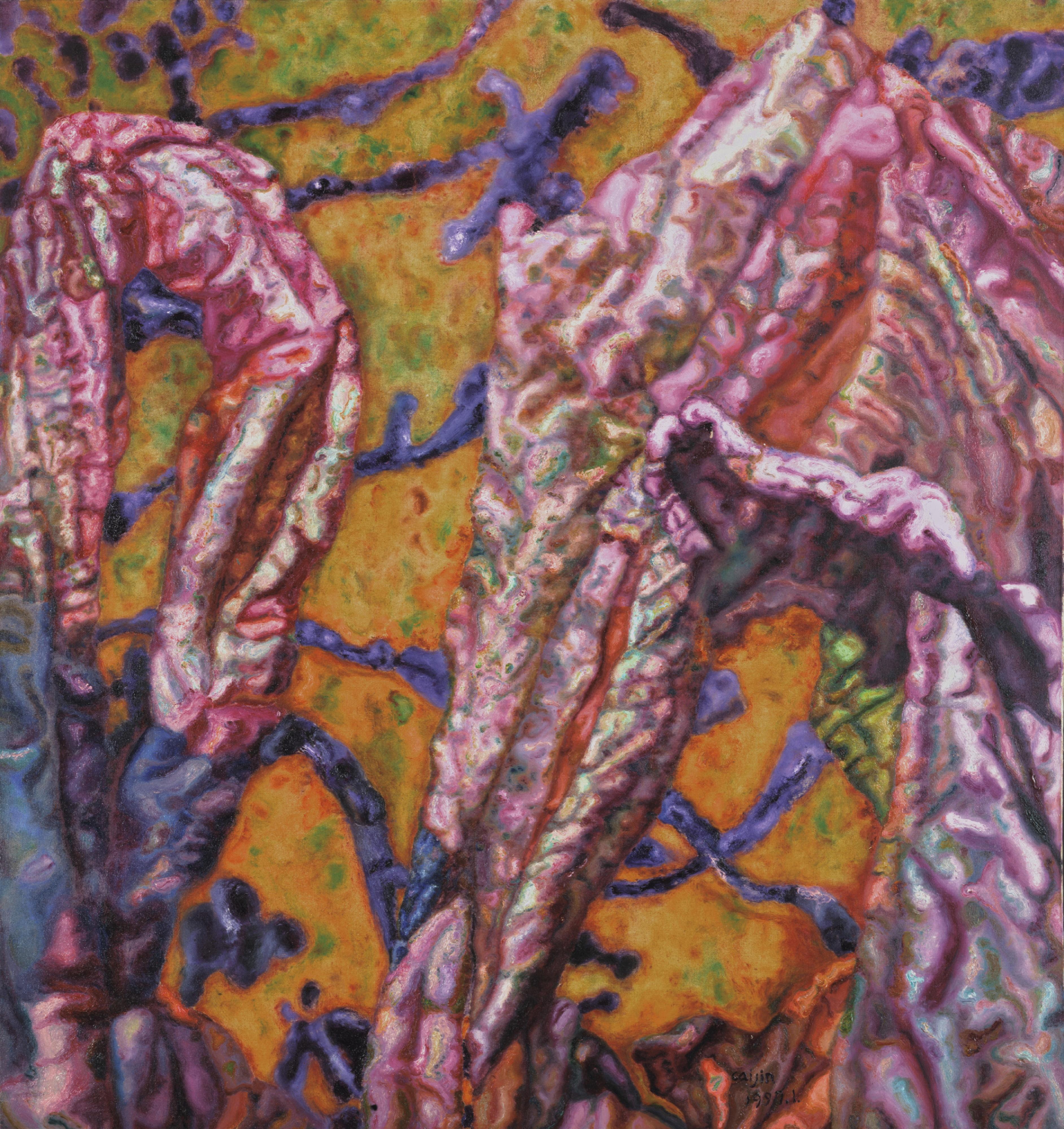 Cai Jin - Banana Plant