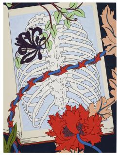 Caitlin Keogh - Vines