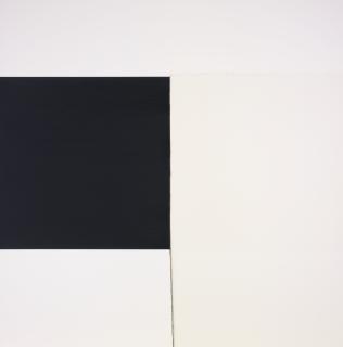 Callum Innes - Exposed Painting, Ivory Black