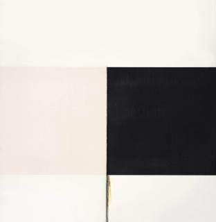 Callum Innes - Exposed Painting Ivory Black