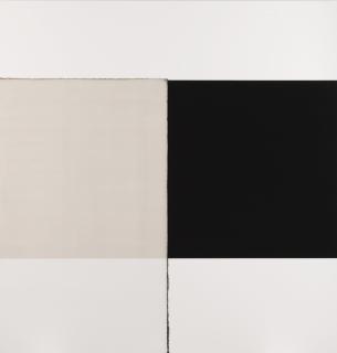 Callum Innes - Exposed Painting Lamp Black