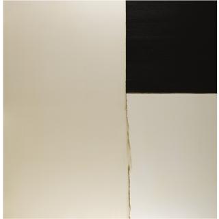 Callum Innes - Exposed Painting, Olive