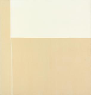 Callum Innes - Exposed Painting, Titanium White Ci/C/583