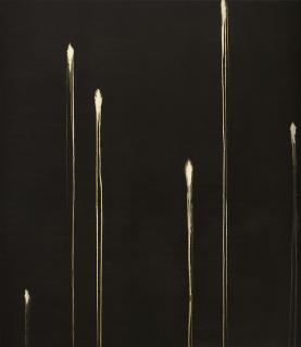 Callum Innes - Six Identified Forms