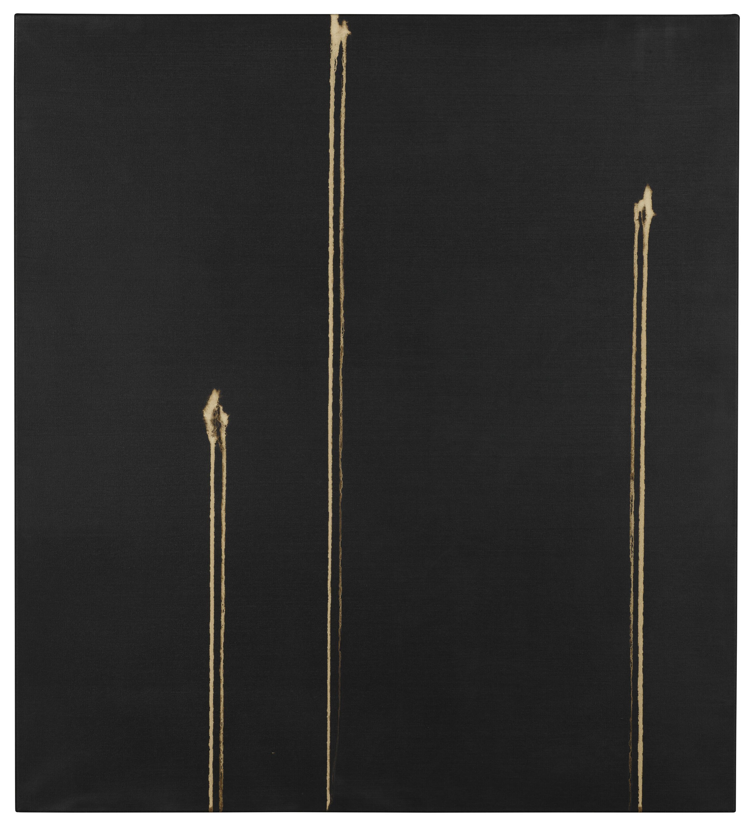 Callum Innes - Three Identified Forms