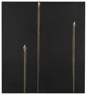 Callum Innes - Three Identified Forms