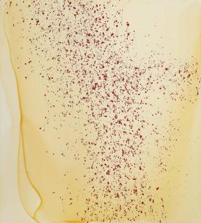 Callum Innes - Untitled