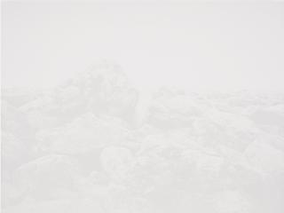 Cameron Martin - Study For Tericor