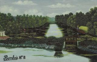 Camille Bombois - Le parc de Versailles