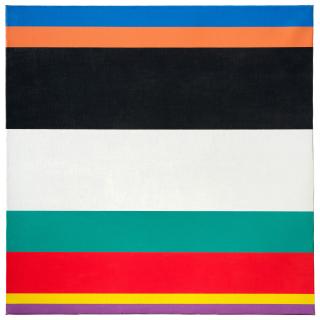 Camille Graeser - Komplementär-Relation III